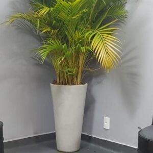 jarro com planta